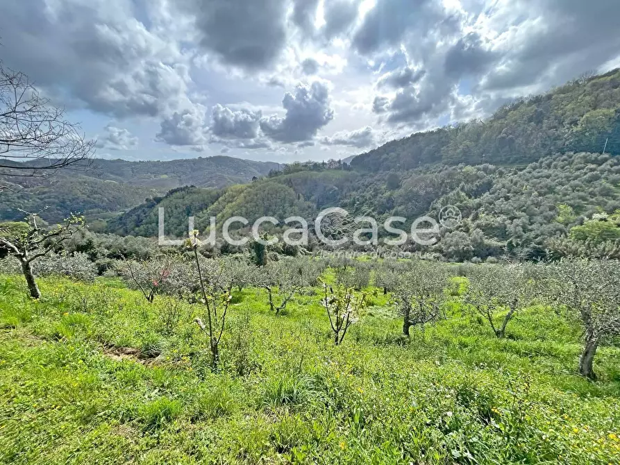 Immagine 24 di Casa colonica in vendita  a Pescaglia