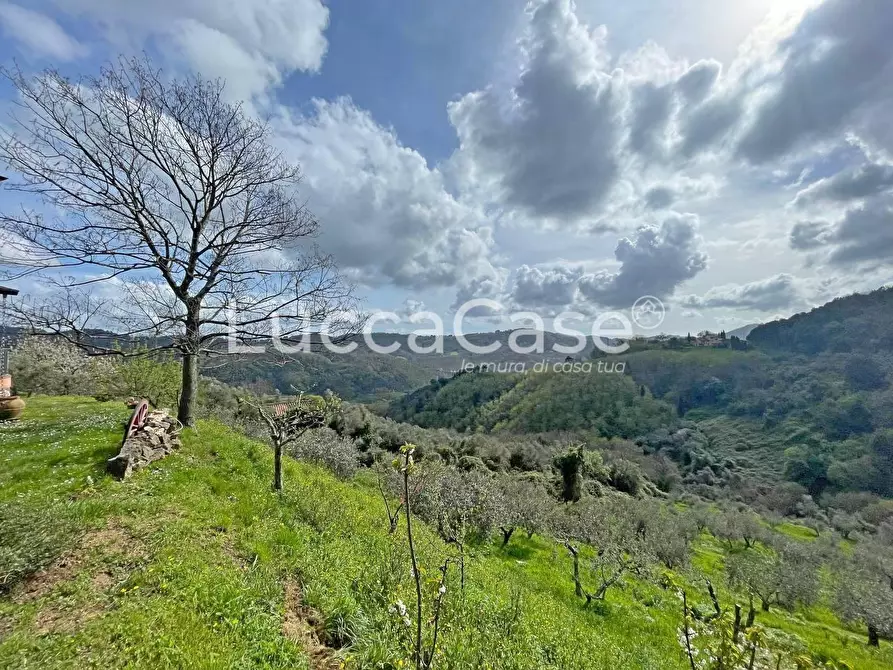 Immagine 22 di Casa colonica in vendita  a Pescaglia