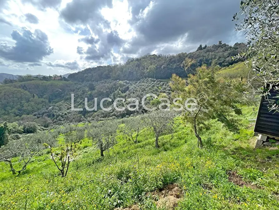 Immagine 23 di Casa colonica in vendita  a Pescaglia