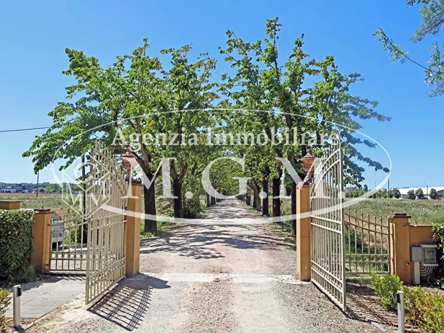 Immagine 26 di Appartamento in vendita  a Pontedera