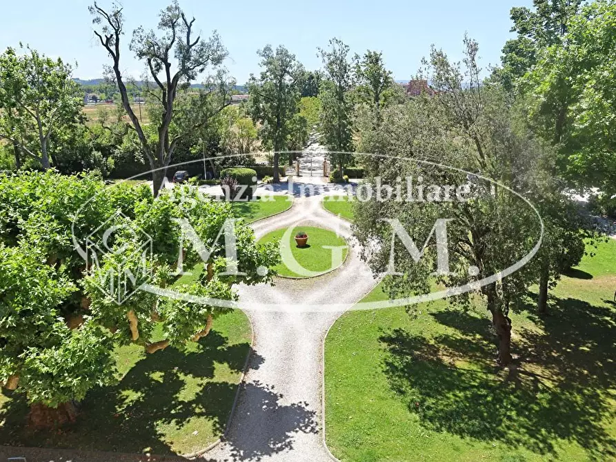 Immagine 30 di Appartamento in vendita  a Pontedera