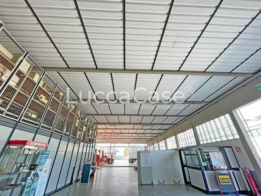 Immagine 1 di Attività artigianale in vendita  a Lucca