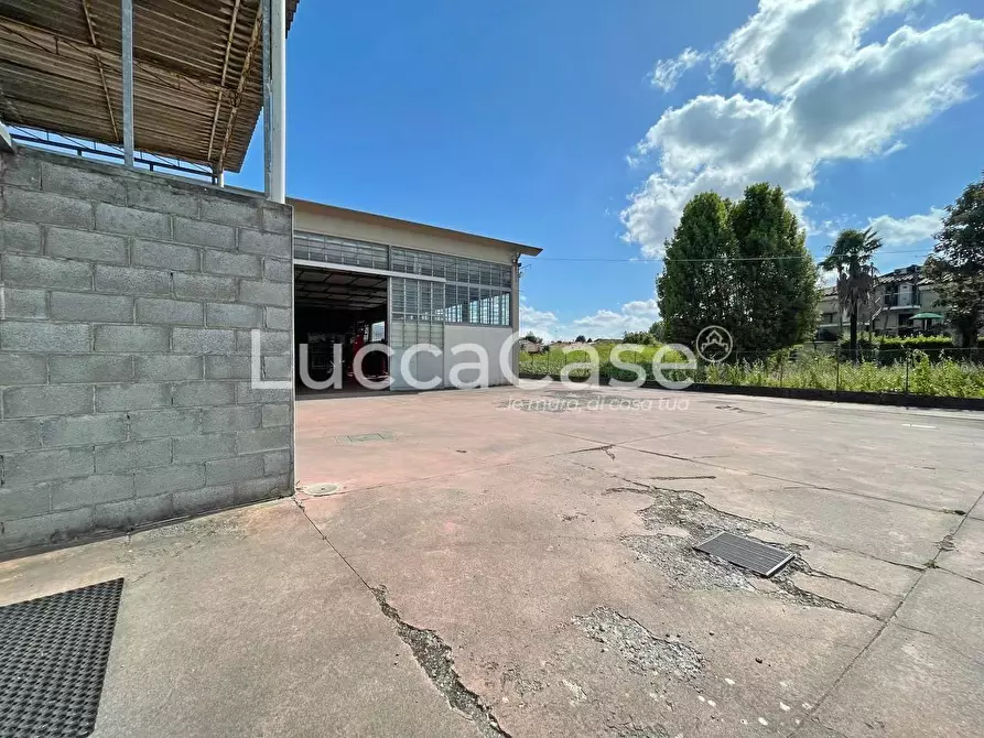 Immagine 8 di Attività artigianale in vendita  a Lucca