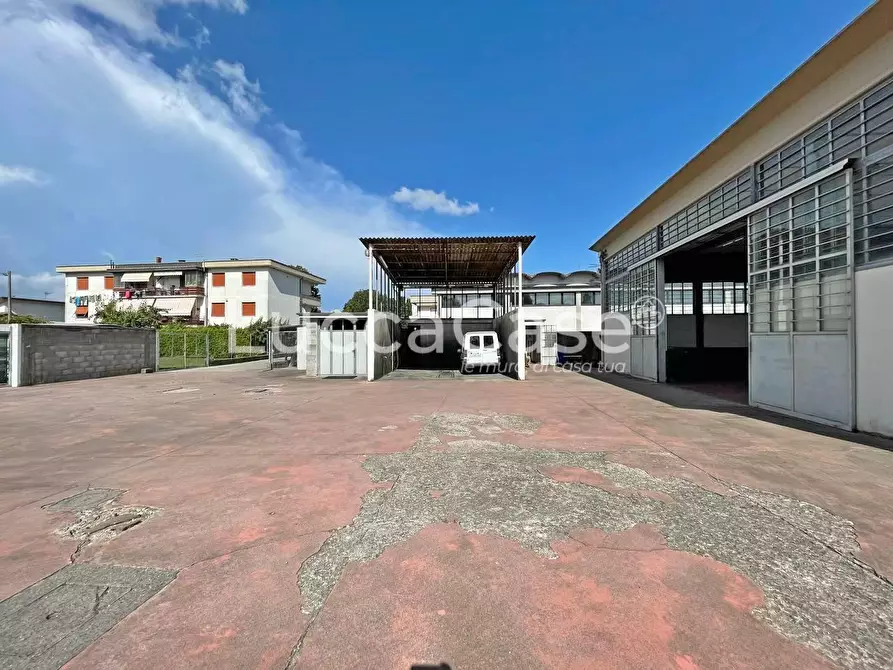 Immagine 6 di Attività artigianale in vendita  a Lucca