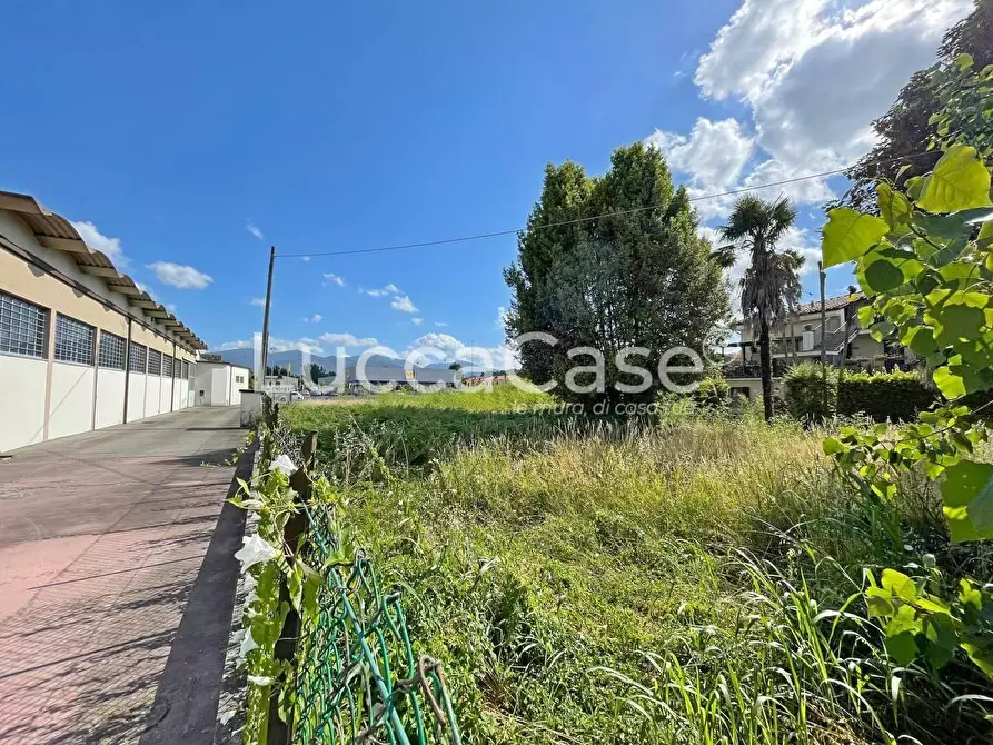 Immagine 5 di Attività artigianale in vendita  a Lucca