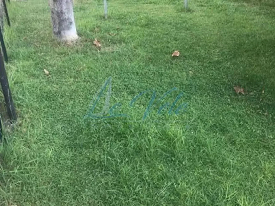 Immagine 2 di Casa bifamiliare in vendita  a Massa