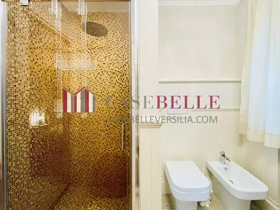 Immagine 22 di Villa in vendita  a Forte Dei Marmi