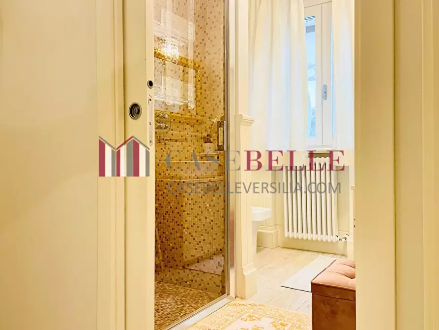 Immagine 18 di Villa in vendita  a Forte Dei Marmi