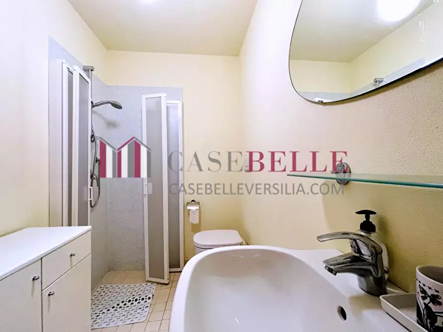 Immagine 72 di Casa indipendente in vendita  a Forte Dei Marmi