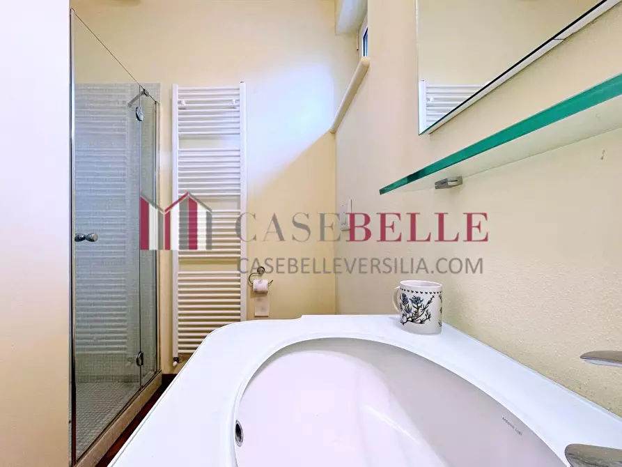 Immagine 61 di Casa indipendente in vendita  a Forte Dei Marmi