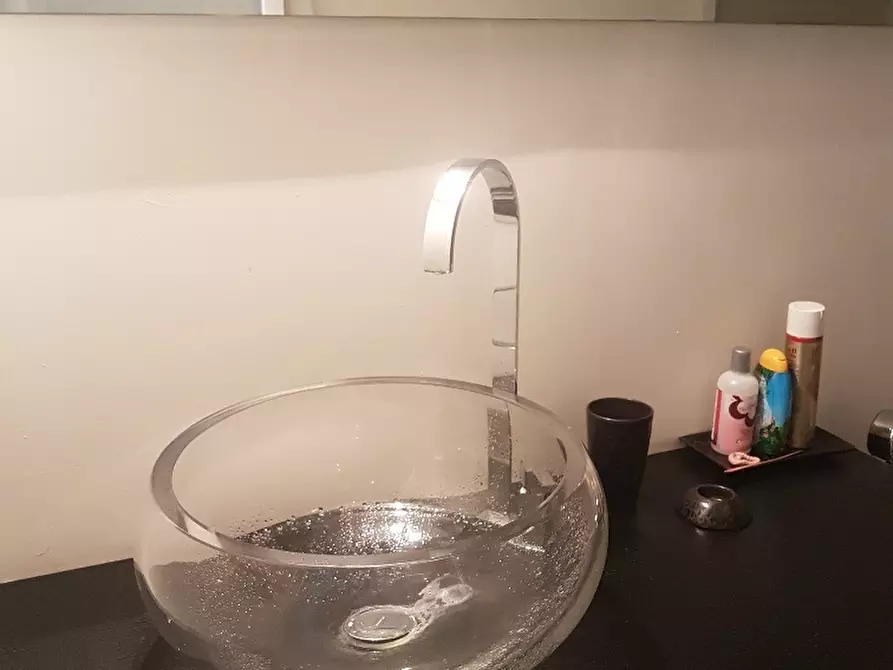 Immagine 19 di Appartamento in vendita  a Vicopisano