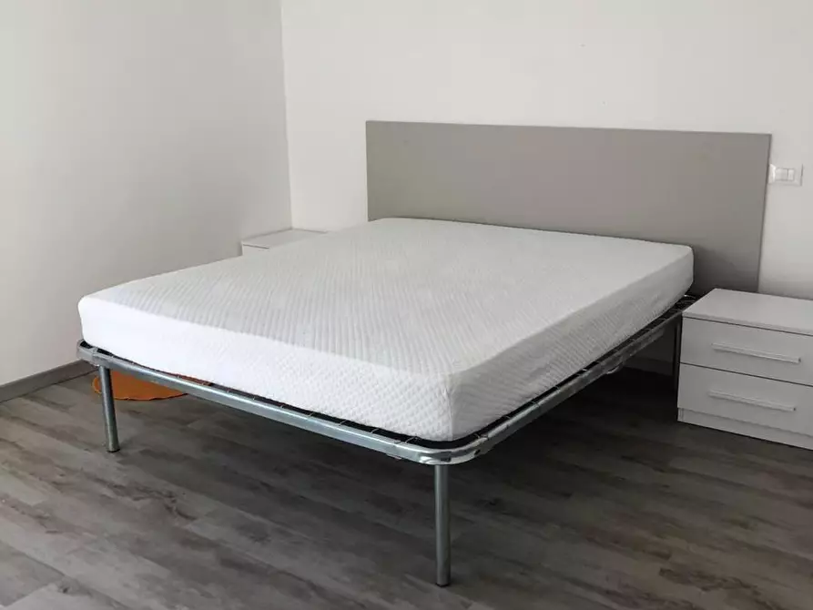 Immagine 22 di Appartamento in affitto  a Pisa