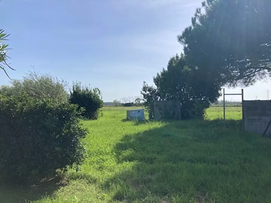 Immagine 2 di Terreno agricolo in vendita  a Pisa