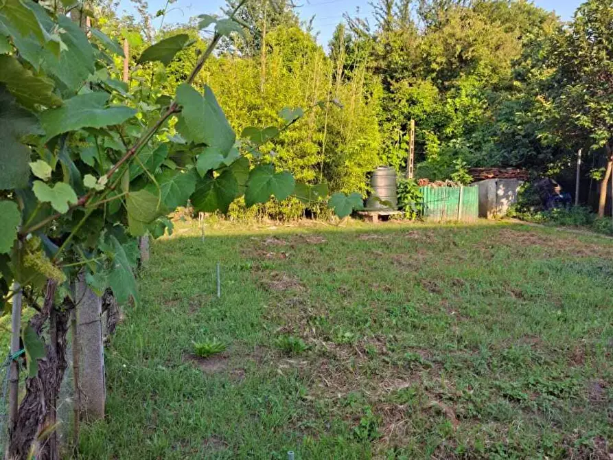 Immagine 26 di Terratetto in vendita  a San Giuliano Terme