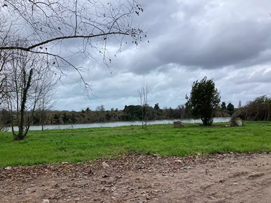 Immagine 8 di Appartamento in vendita  a Pisa