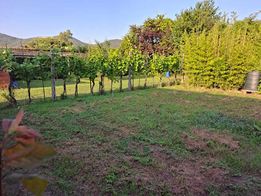 Immagine 16 di Terratetto in vendita  a San Giuliano Terme