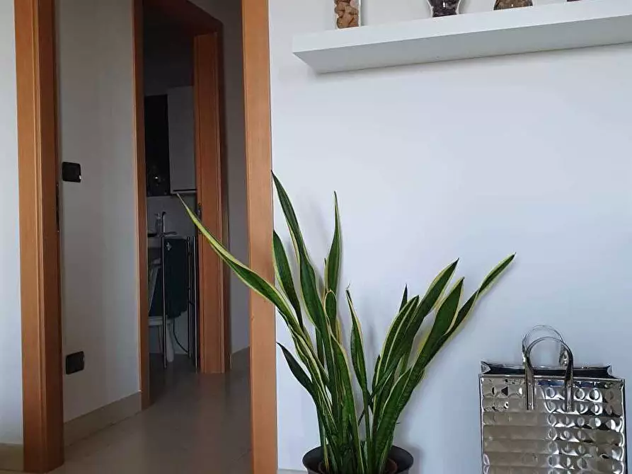 Immagine 7 di Appartamento in vendita  a Pisa