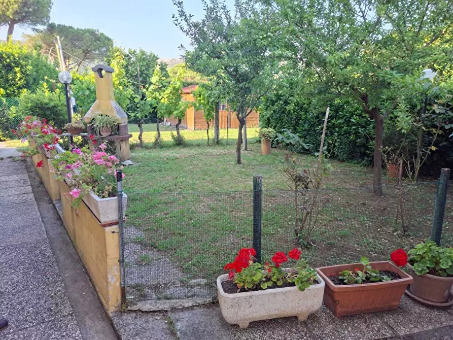 Immagine 1 di Terratetto in vendita  a San Giuliano Terme