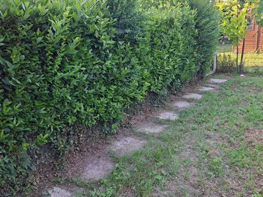 Immagine 19 di Terratetto in vendita  a San Giuliano Terme