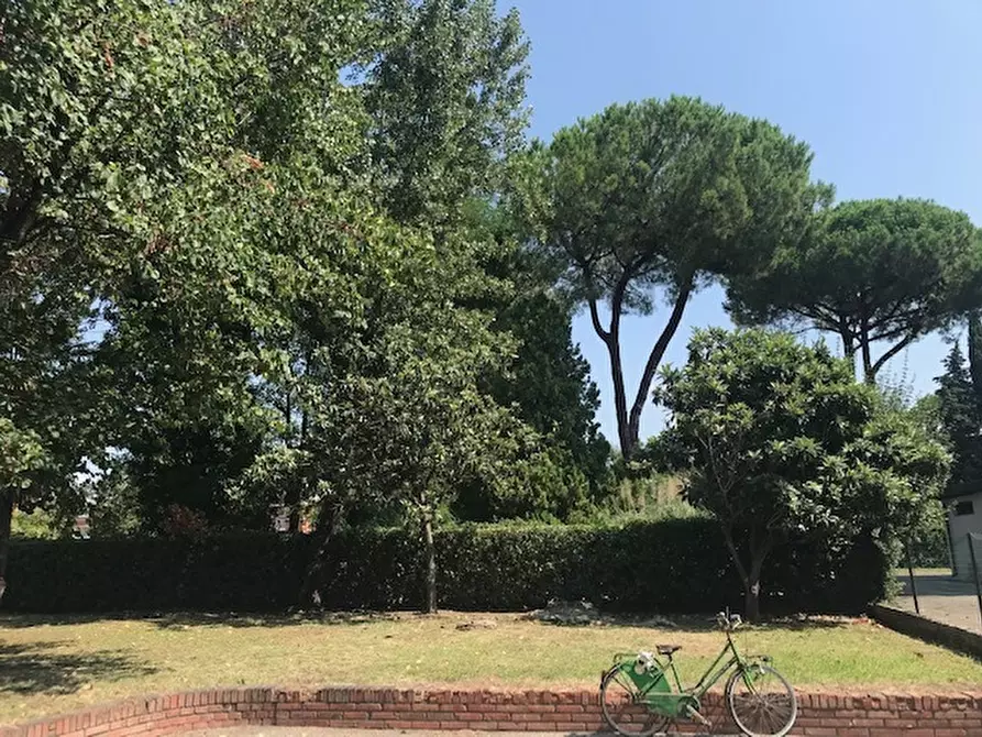 Immagine 8 di Appartamento in affitto  a Pisa