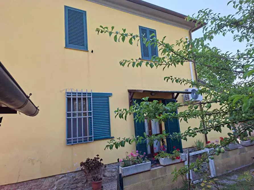 Immagine 29 di Terratetto in vendita  a San Giuliano Terme