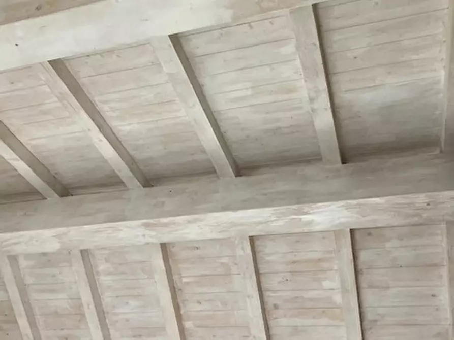 Immagine 13 di Appartamento in vendita  a Pisa