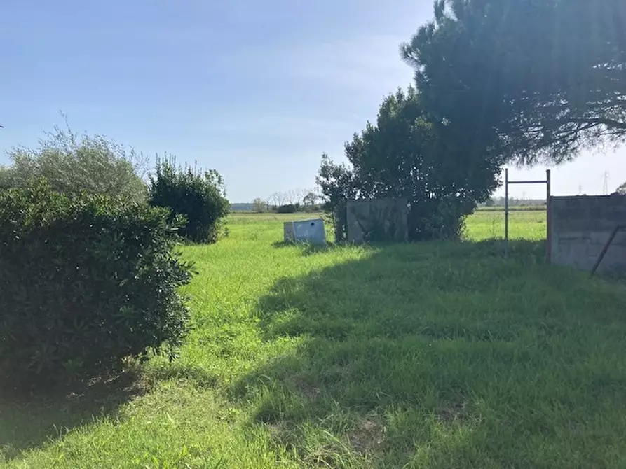 Immagine 3 di Terreno agricolo in vendita  a Pisa