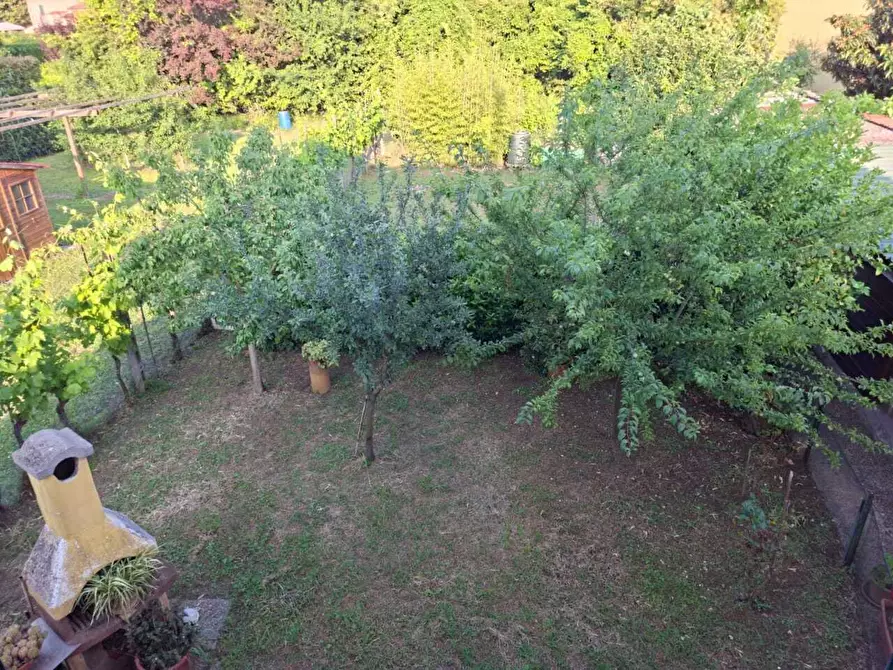 Immagine 38 di Terratetto in vendita  a San Giuliano Terme