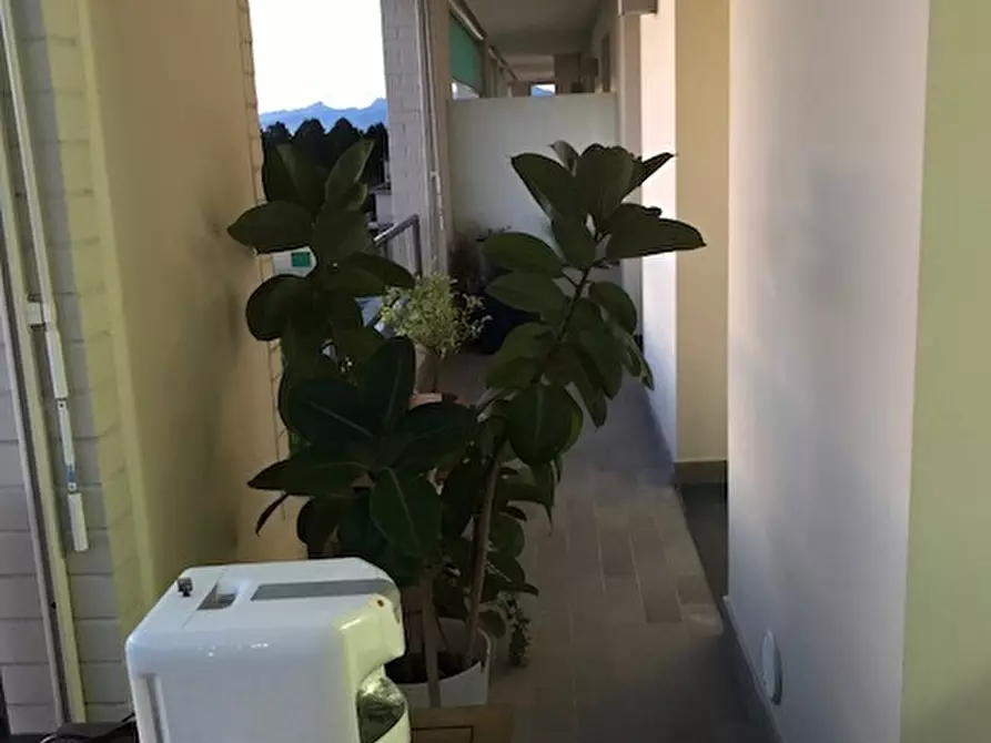 Immagine 3 di Appartamento in vendita  a Pisa