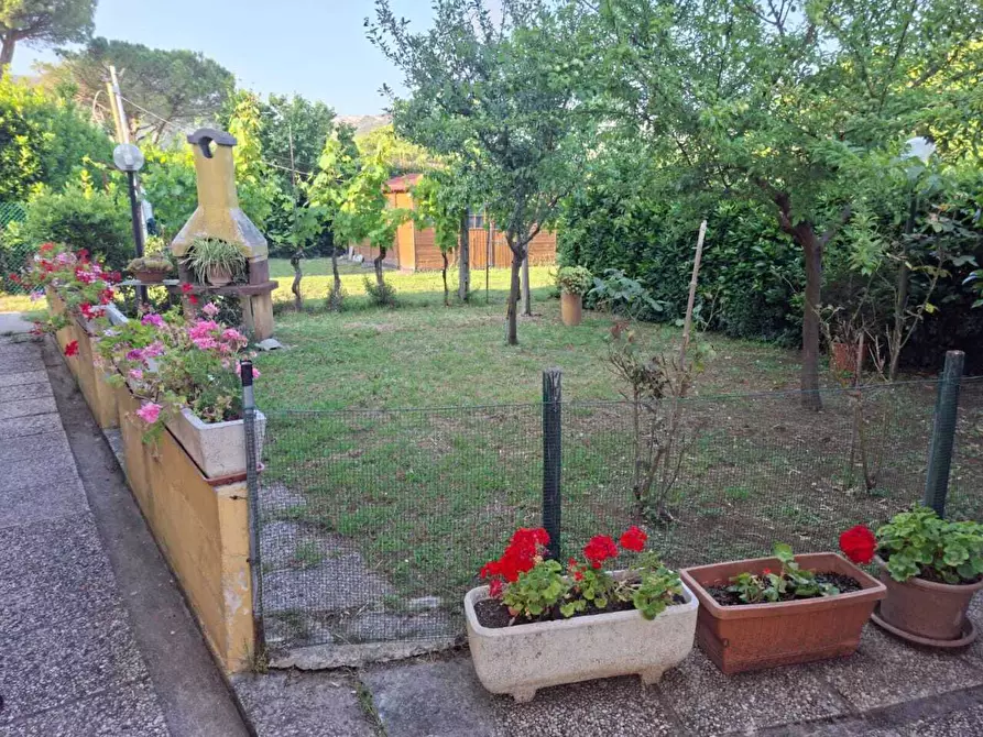 Immagine 14 di Terratetto in vendita  a San Giuliano Terme