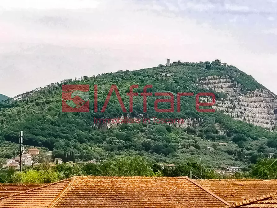 Immagine 5 di Appartamento in vendita  a Pieve A Nievole