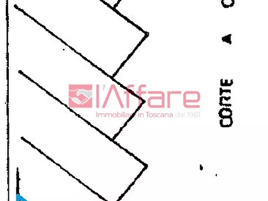 Immagine 27 di Appartamento in vendita  a Pieve A Nievole