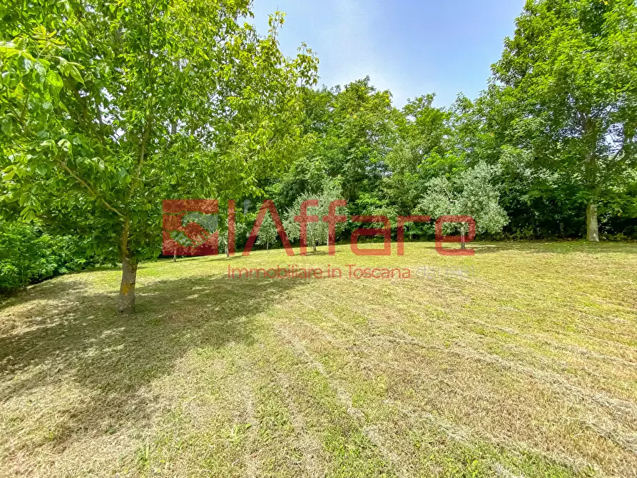 Immagine 70 di Rustico / casale in vendita  a Montecatini Terme