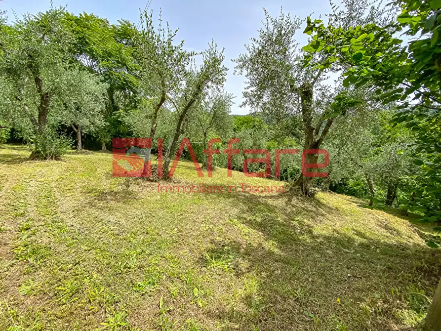 Immagine 71 di Rustico / casale in vendita  a Montecatini Terme