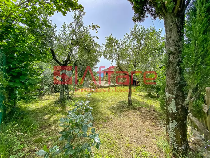 Immagine 68 di Rustico / casale in vendita  a Montecatini Terme