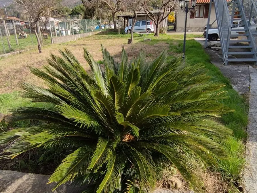 Immagine 25 di Casa indipendente in affitto  a Carrara