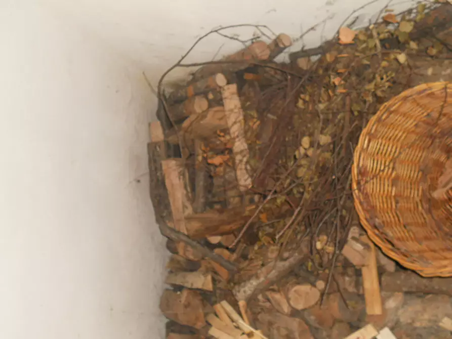 Immagine 52 di Terratetto in vendita  a Ortonovo