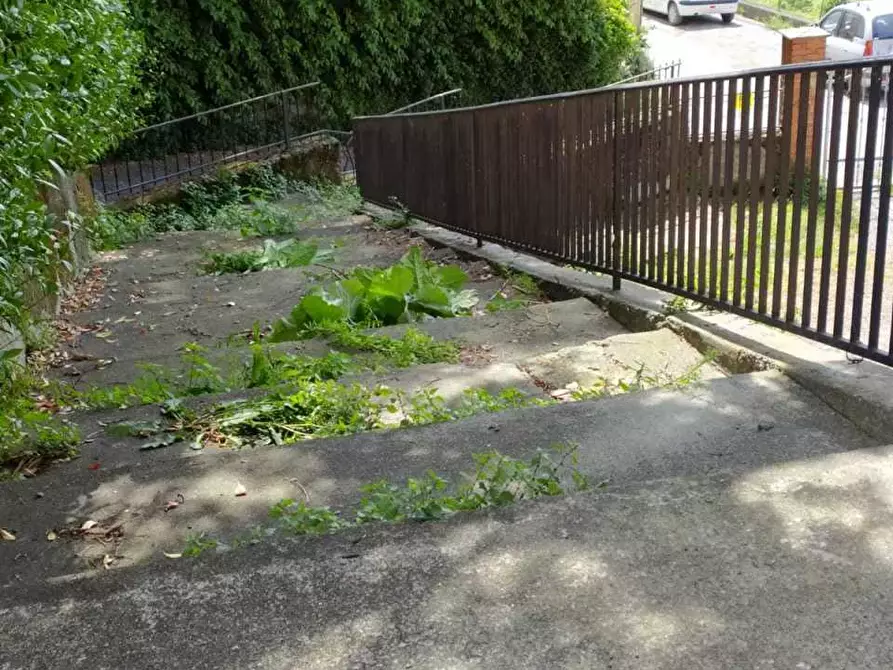 Immagine 9 di Casa indipendente in vendita  a Sarzana