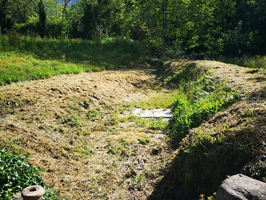 Immagine 44 di Casa colonica in vendita  a Castelnuovo Magra