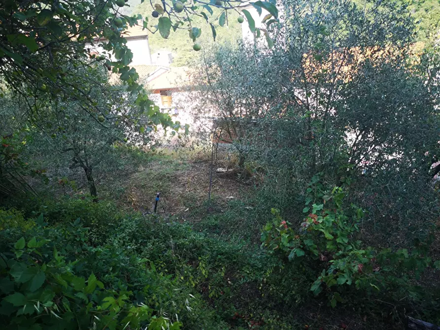 Immagine 2 di Rustico / casale in vendita  a Ortonovo