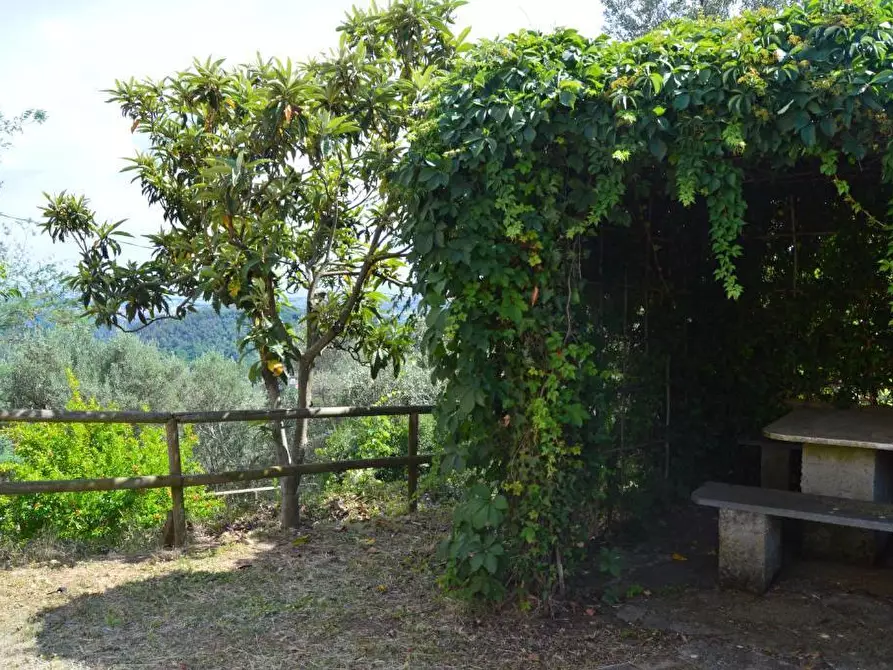 Immagine 33 di Villa in vendita  a Castelnuovo Magra