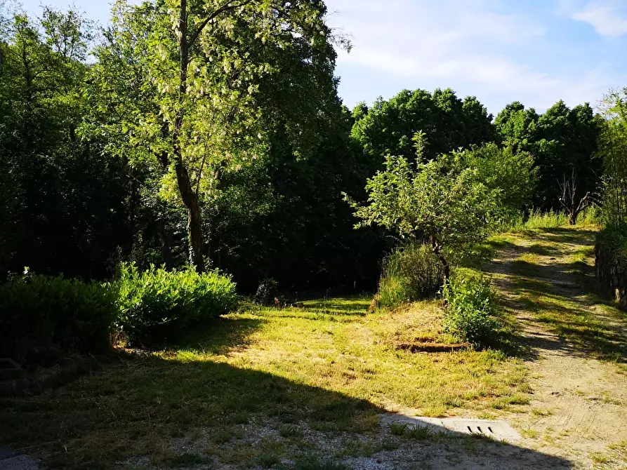 Immagine 13 di Casa colonica in vendita  a Castelnuovo Magra