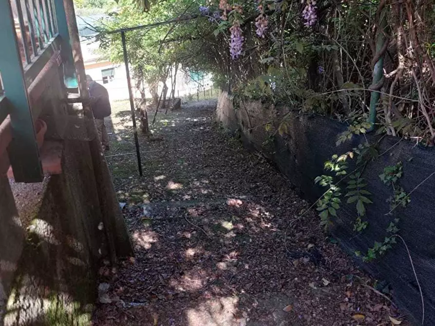 Immagine 24 di Casa indipendente in vendita  a Arcola