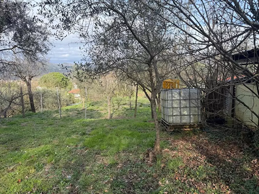 Immagine 9 di Terratetto in vendita  a Sarzana