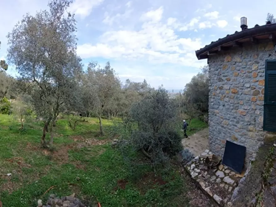 Immagine 6 di Rustico / casale in vendita  a Ameglia