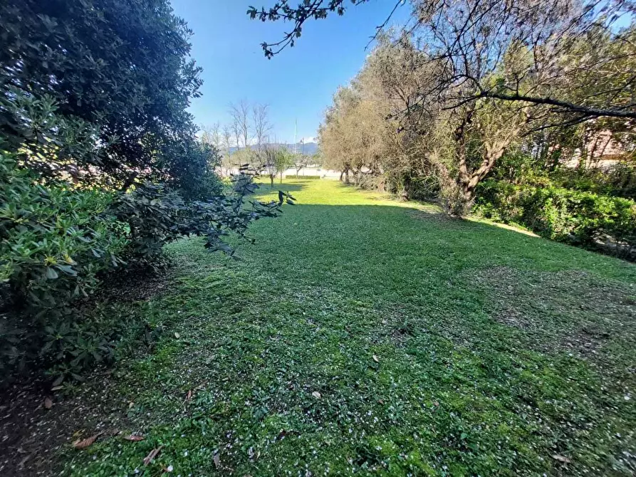 Immagine 11 di Casa semindipendente in vendita  a Ameglia