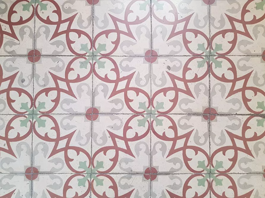 Immagine 23 di Casa indipendente in vendita  a Carrara