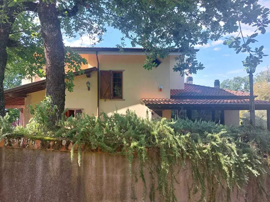 Immagine 3 di Casa indipendente in vendita  a Castelnuovo Magra