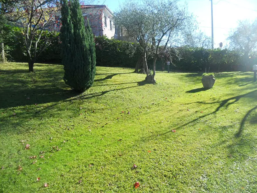 Immagine 7 di Villa in vendita  a Sarzana