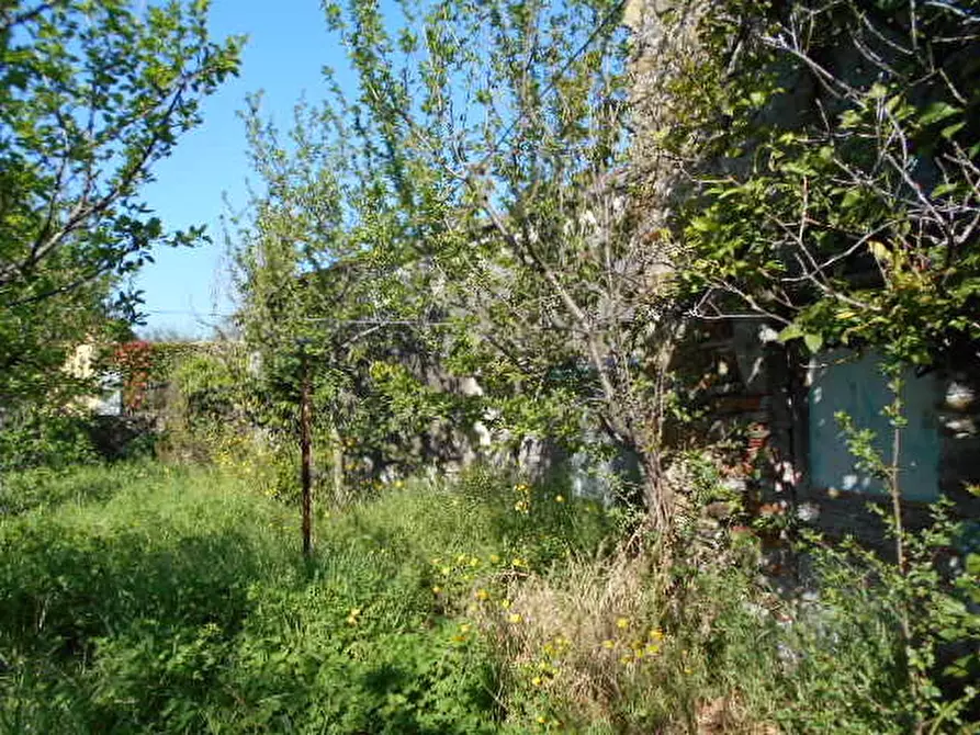 casa indipendente in vendita a Castelnuovo Magra in zona Molicciara